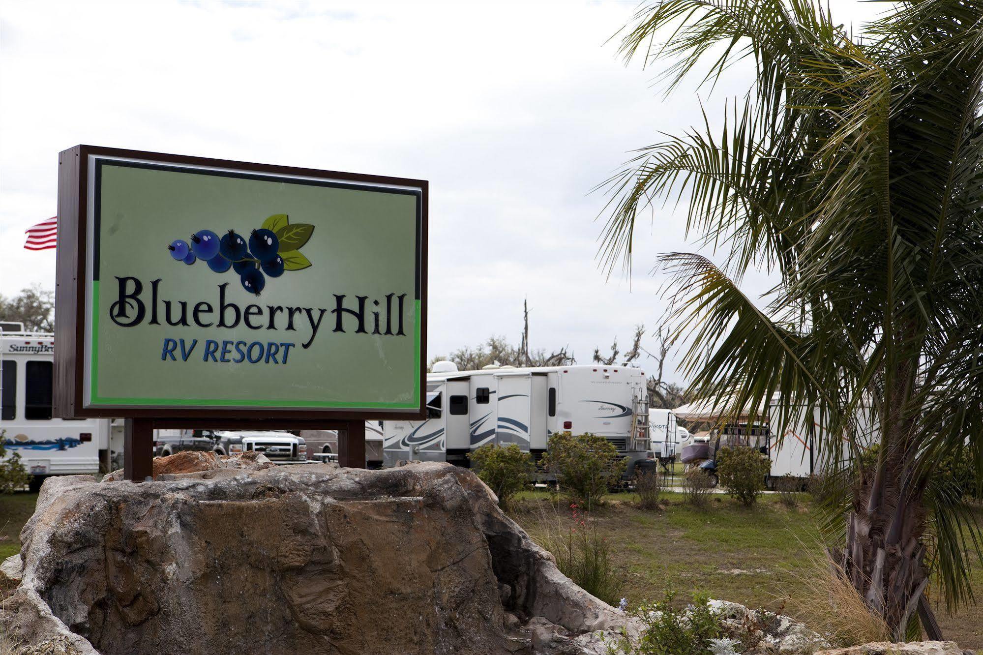 Вилла Blueberry Hill Bushnell Экстерьер фото