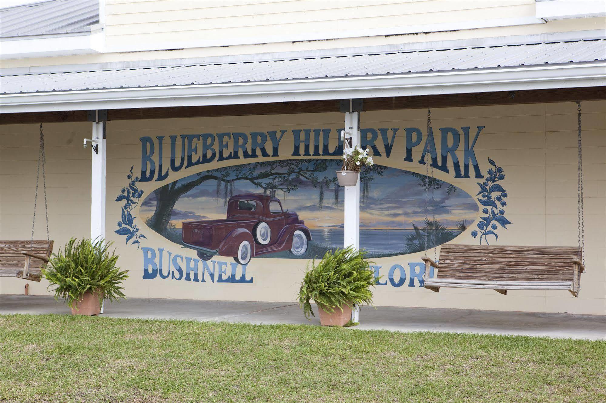 Вилла Blueberry Hill Bushnell Экстерьер фото
